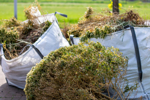 Best Yard Waste Removal  in Clinton, MO